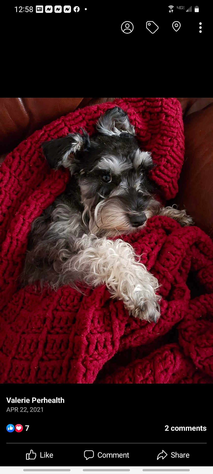 Lexie