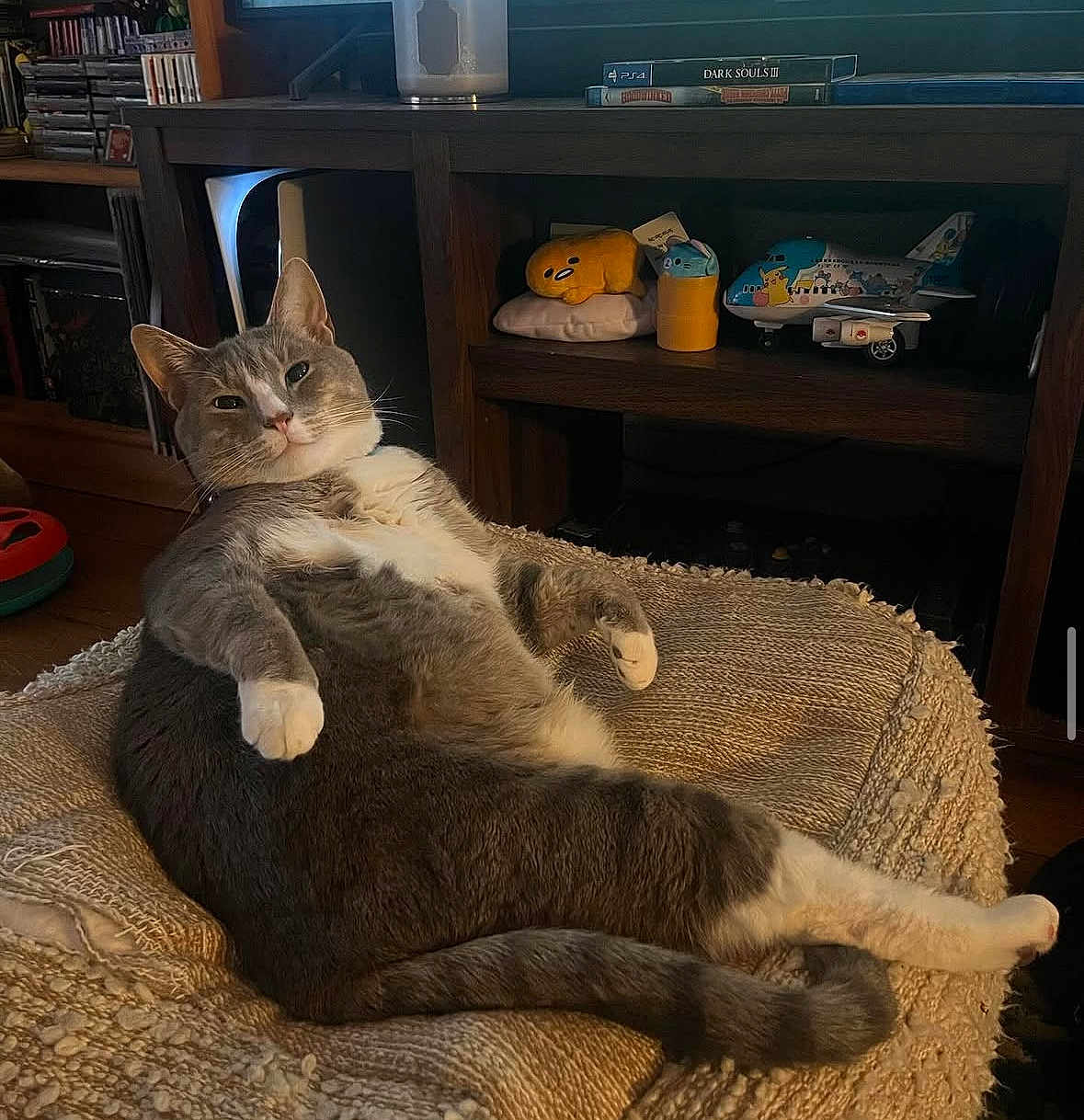 Clarvis Marvin joined the competition — help win amazing prizes! airplane_toy, blanket, cat, chonky, cozy, cushion, furniture, gray_cat, indoor, living_room, lounging, pet, plush_toy, portrait, relaxed, shelf, smug_expression, toys, whiskers, white_paws
