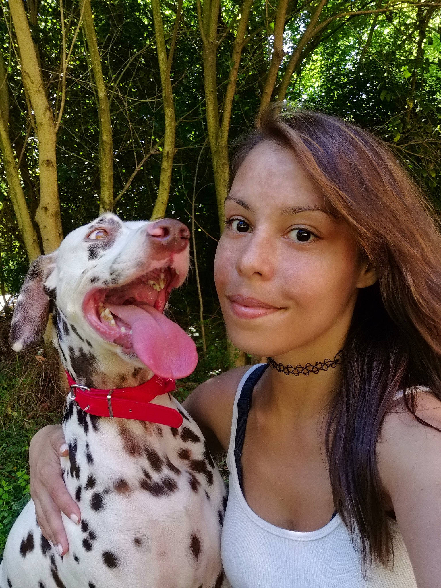 Effy participe au concours pour gagner de l'argent avec cette photo : canidae, carnivore, collar, companion_dog, dalmatian, dog, dog_breed, dog_collar, fawn, fun, grass, happy, jewellery, leisure, plant, smile, snout, sporting_group, throat, tree