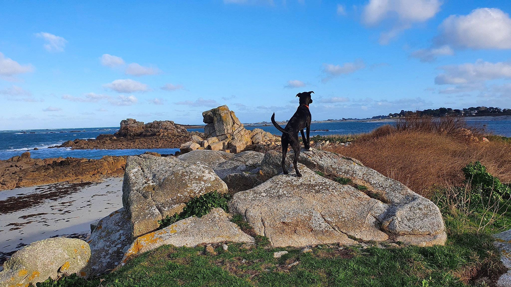 Halba participe au concours pour gagner de l'argent avec cette photo : bedrock, cloud, coastal_and_oceanic_landforms, fell, grass, headland, highland, hill, horizon, klippe, landscape, leisure, natural_landscape, outcrop, plant, recreation, sky, terrain, water, wood