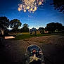 baby, bottle, earmuffs, fireworks, night, outdoor, backyard, grass, trees, chair, person, infant, darkness, light, celebration, quiet, peaceful, relaxation, seat, evening