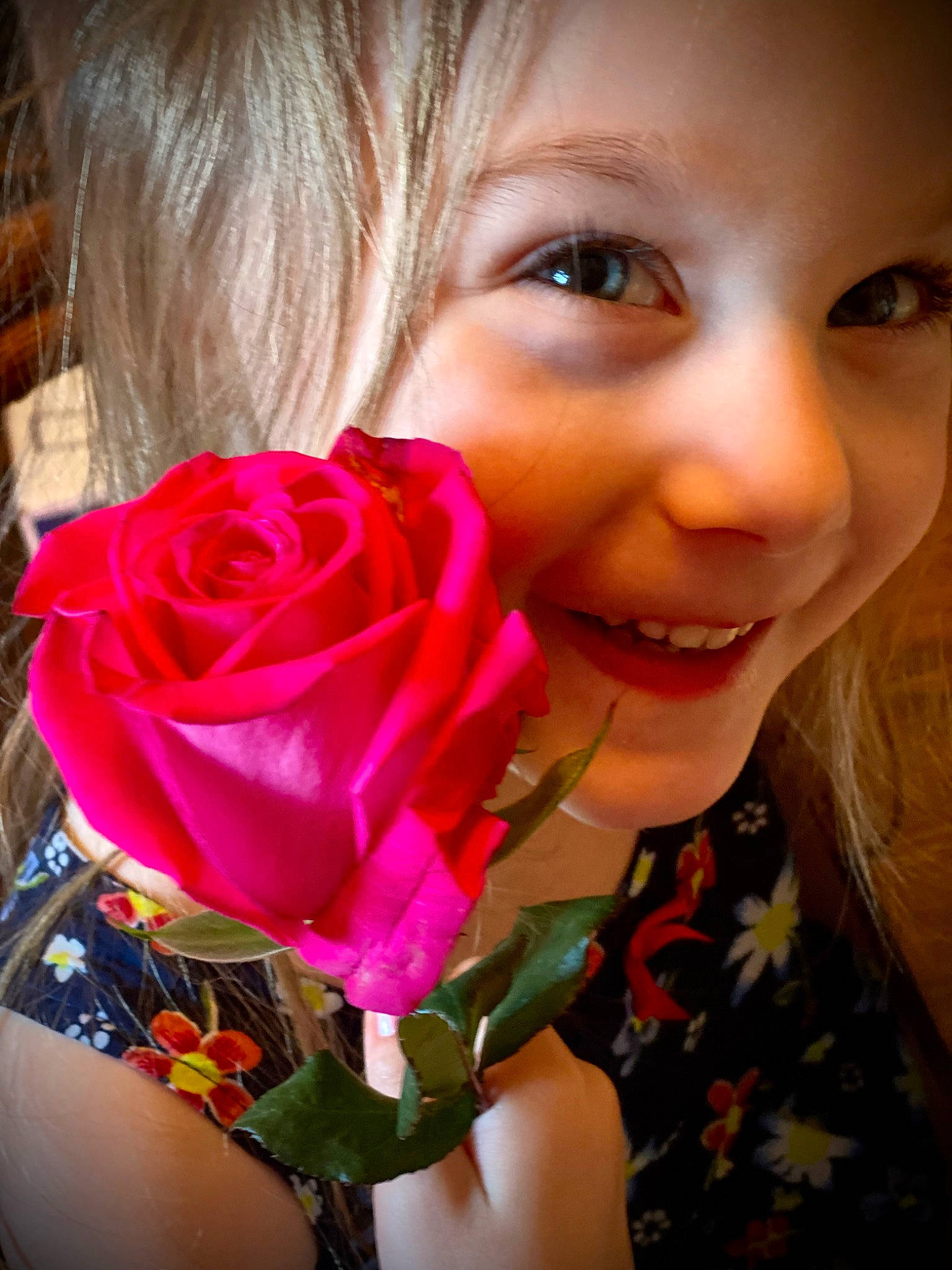 Norah joined the competition — help win amazing prizes! cool, dress, eye, eyelash, facial_expression, flash_photography, flower, flower_arranging, happy, hybrid_tea_rose, iris, lip, magenta, person, petal, pink, plant, rose, skin, smile