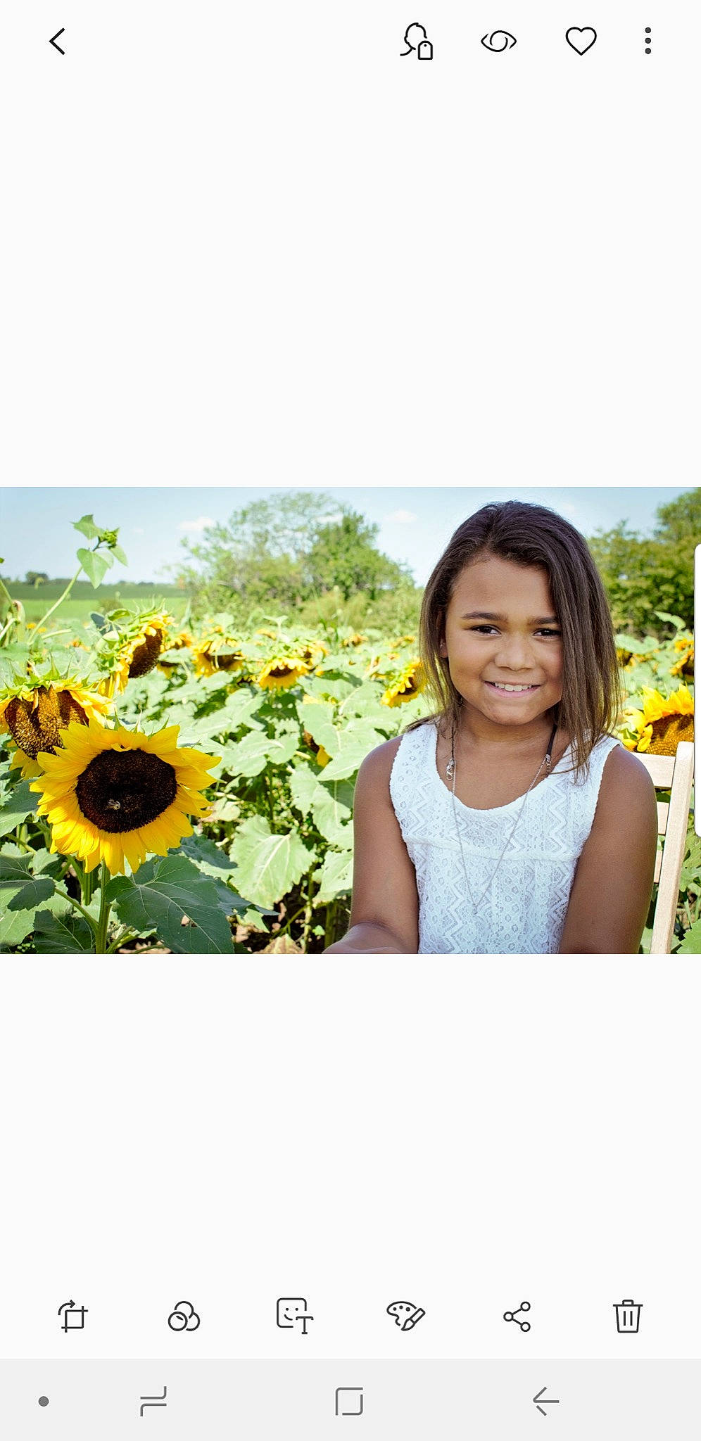 Halo joined the competition — help win amazing prizes! field, flower, flowering_plant, happy, joy, landscape, person, petal, photograph, photography, plant, pollen, sky, stock_photography, summer, sunflower, sunflower_seed, vegetarian_food, wildflower, yellow