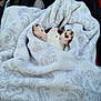 animal, blanket, car_interior, comfort, cozy, cute, dog, ears, footwear, fur, pattern, pet, relaxation, resting, snuggled, soft, spot, warm, white, wrapped