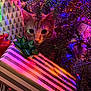 cat, christmas_tree, holiday_lights, gift, present, bow, orange_cat, festive, decorations, pine_branch, close_up, indoor, curious, pet, animal, holiday, colorful, celebration, wrapped_gift, tree_branch