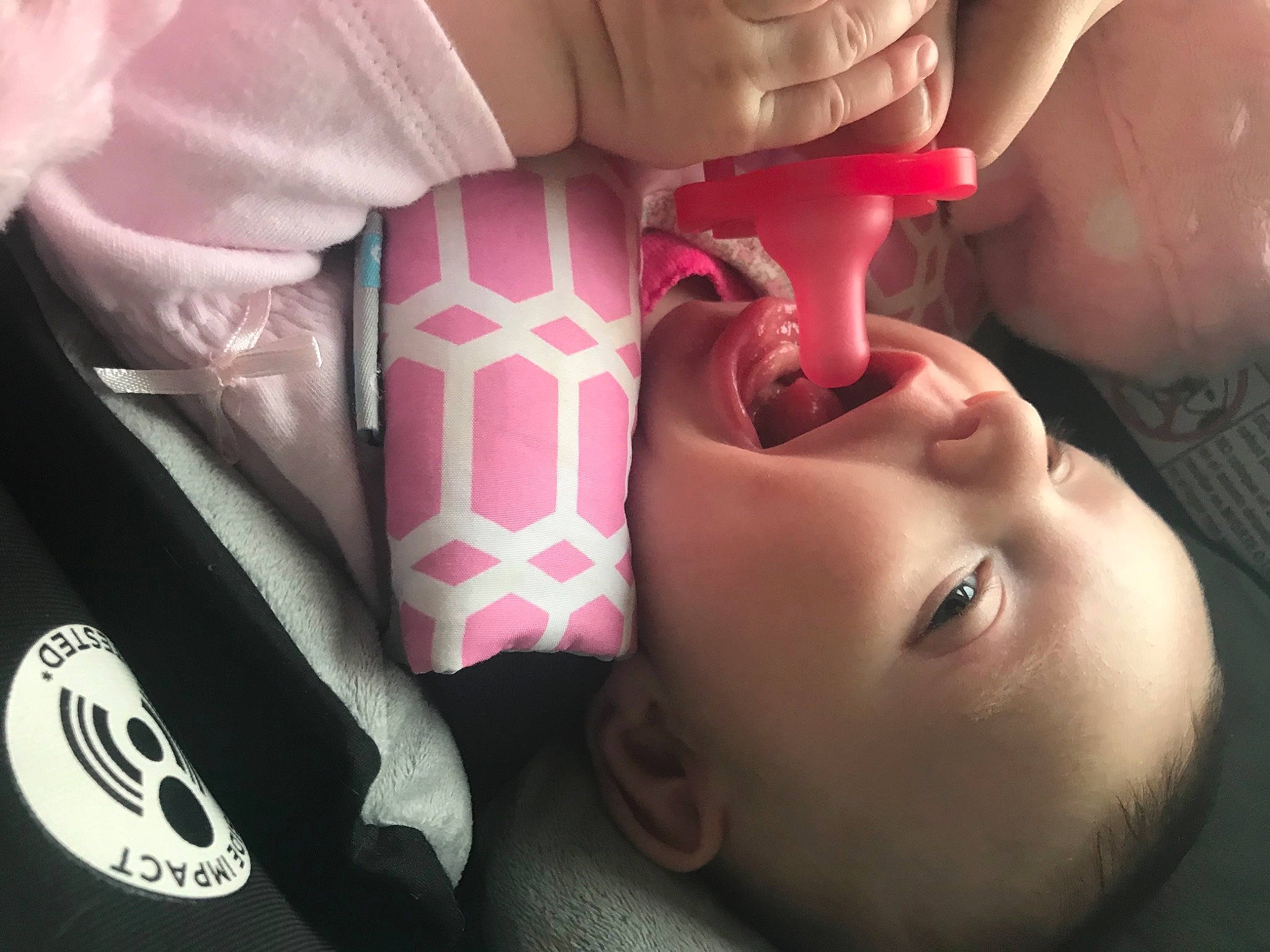 Raya is registered to the contest to win money with this photo: baby, cheek, child, eyebrow, eyelash, facial_expression, finger, gesture, hairstyle, hand, lip, mouth, nail, neck, nose, person, petal, pink, skin, thumb