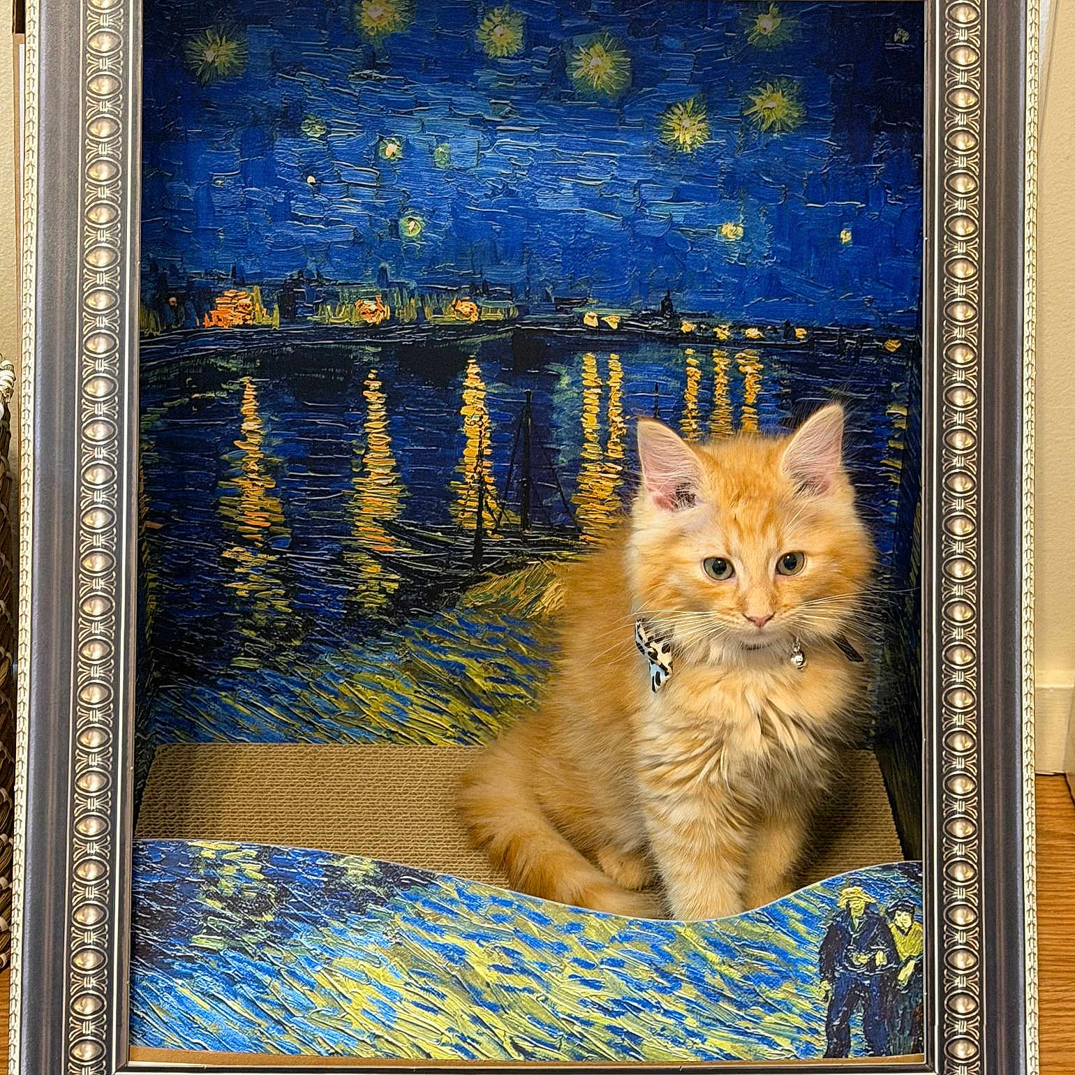 Stamp is registered to the contest to win money with this photo: kitten, cat, orange_cat, fluffy, painting, van_gogh_style, starry_night, frame, art, decor, blue, yellow, indoor, feline, animal, portrait, collar, cute, pet, sitting