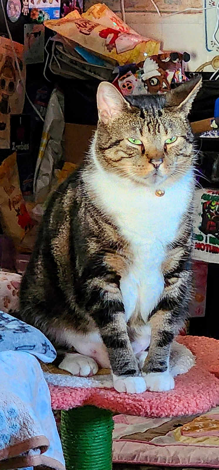 Micah