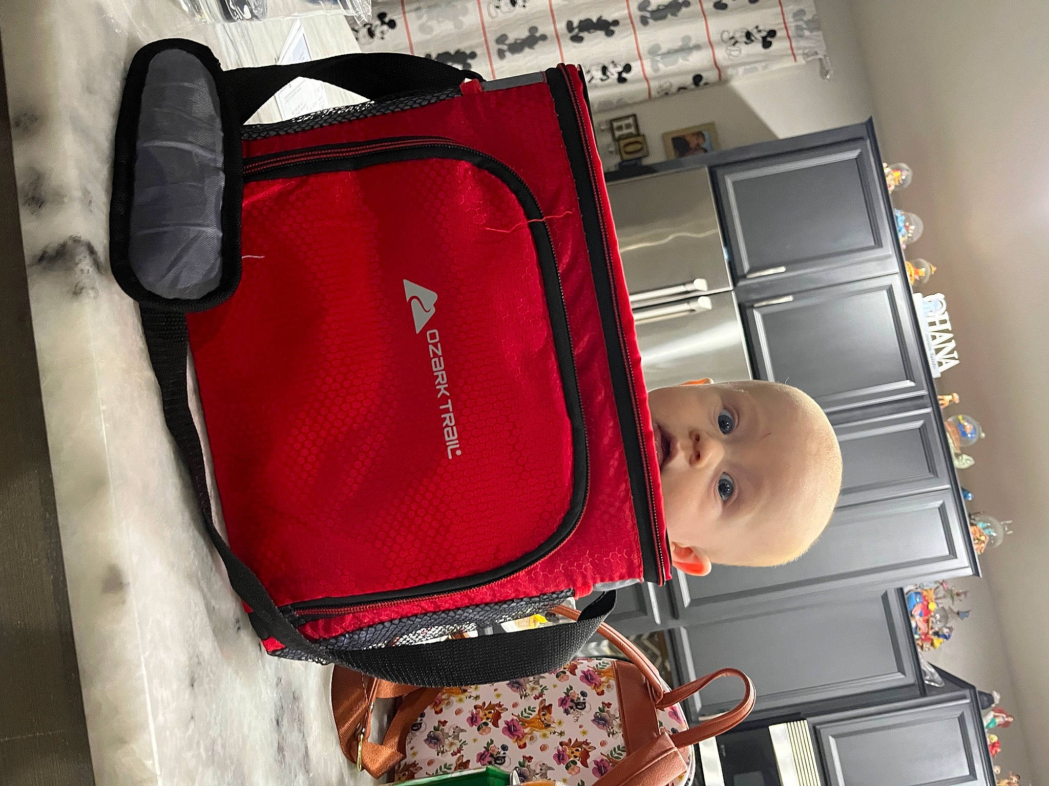 Dean joined the competition — help win amazing prizes! baby, baby_products, baby_toddler_clothing, bag, baggage, carmine, comfort, fashion_accessory, luggage_and_bags, machine, magenta, pattern, person, rectangle, red, room, strap, surprise, toddler, toy