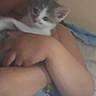 Kiwi Guidara participe au concours pour gagner de l'argent avec cette photo : bed, blanket, cat, child, close_up, cozy, cuddling, cute, face, hands, hugging, indoor, kitten, pajamas, person, pet, portrait, shoulder, skin, sleepy