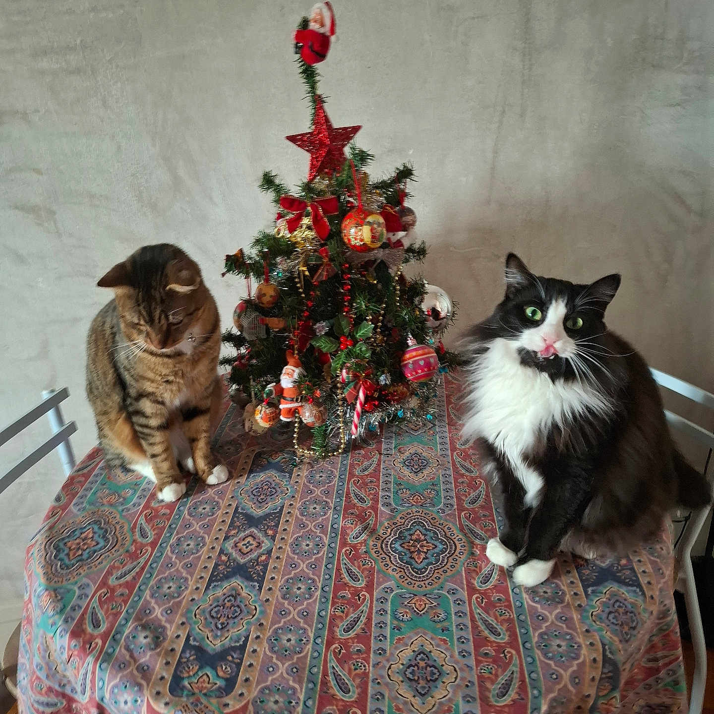 Catchan