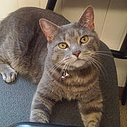 Brandi is registered to the contest to win money with this photo: