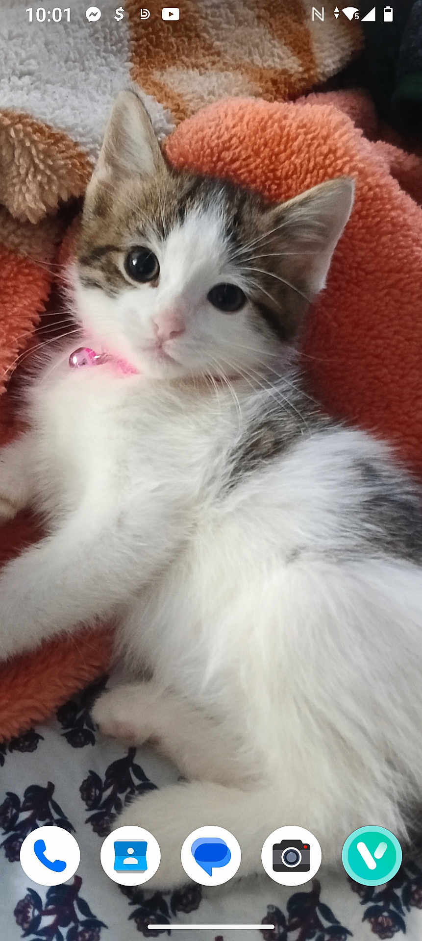 Lucy
