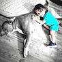 toddler, child, dog, hugging, floor, wooden_floor, indoor, blue_outfit, pet, animal, friendship, cute, relaxed, casual, playing, smiling, small_child, curly_hair, sneakers, cozy