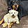 Mingo And Sassy