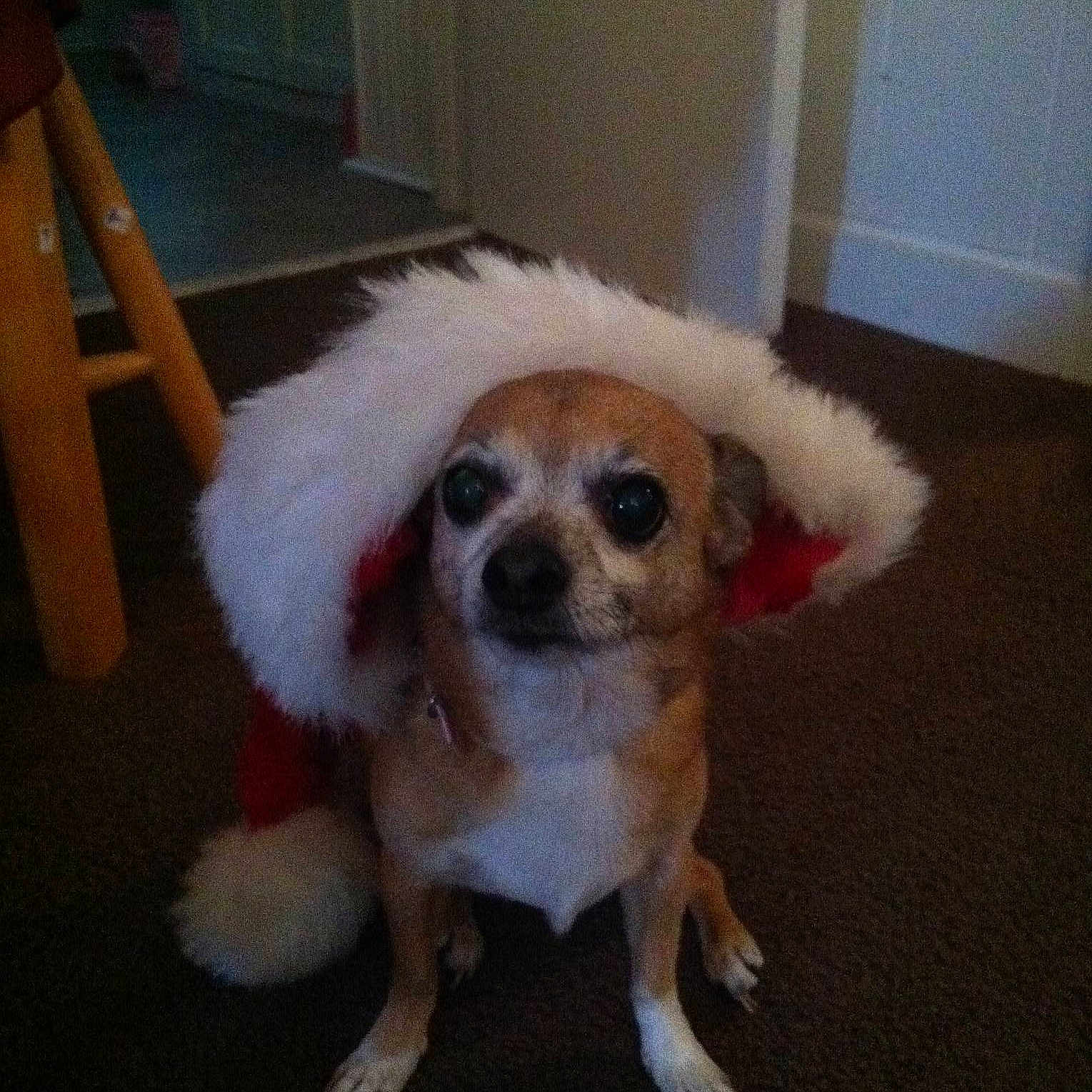 Cheyanne Rose is registered to the contest to win money with this photo: