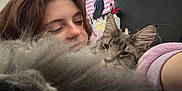Baloo joined the competition — help win amazing prizes! person, cat, fluffy_tail, indoor, selfie, close_up, poster, guitar, cozy, purple_sweater, long_hair, gray_cat, face, pet, relaxed, snuggling, home, furniture, decor, casual