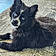 Blacky