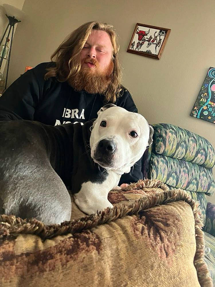Bella Bear is registered to the contest to win money with this photo: beard, canidae, carnivore, chair, comfort, companion_dog, couch, dog, dog_breed, fawn, fur, guard_dog, house, picture_frame, sitting, snout, sporting_group, t_shirt, tree, whiskers