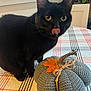 Google joined the competition — help win amazing prizes! black_cat, cat, knitted_pumpkin, tablecloth, plaid, indoor, leaf, orange_leaf, curious, yellow_eyes, pet, animal, feline, cozy, decor, autumn, fall, tongue_out, close_up, domestic_cat