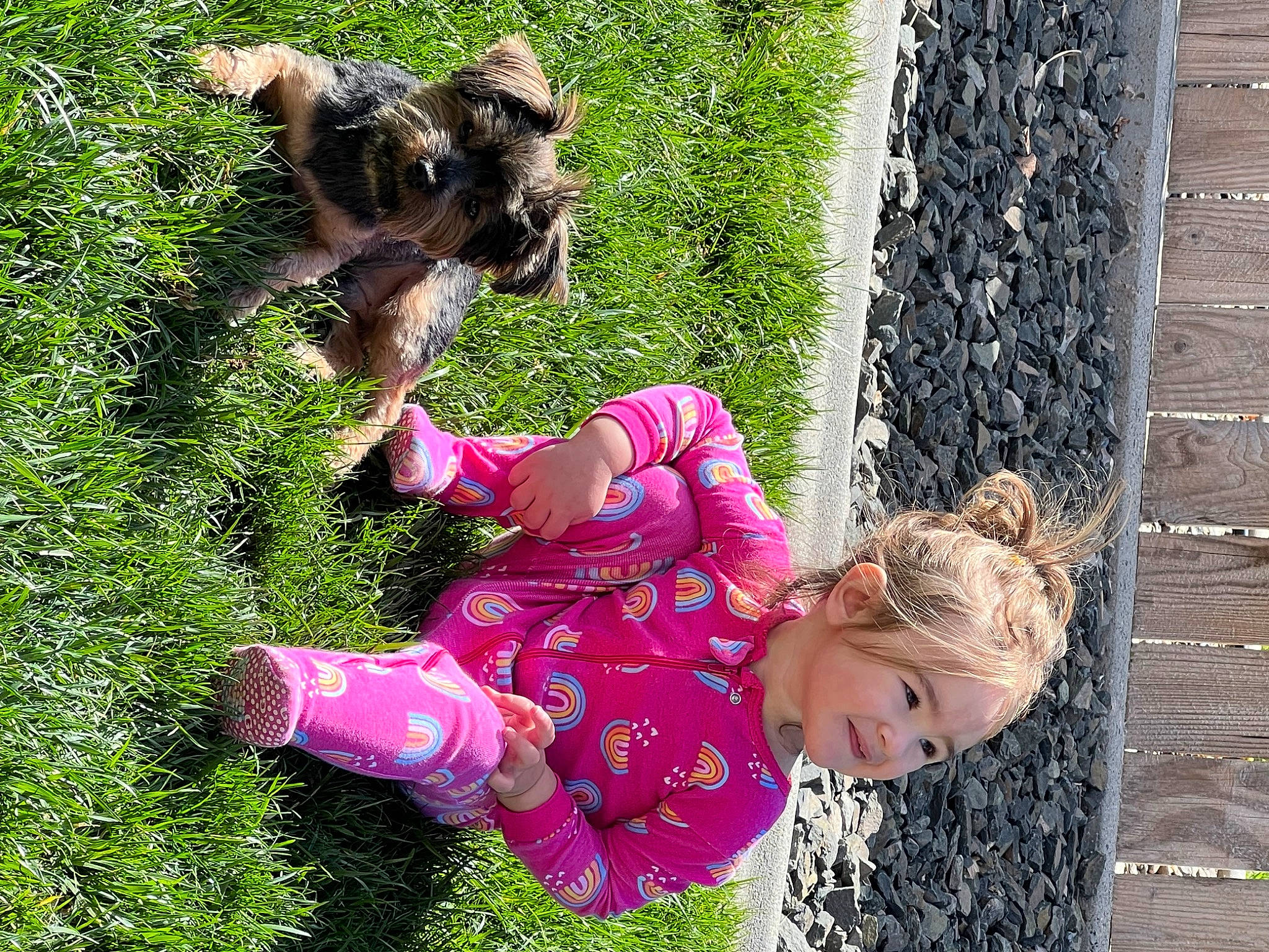 Izabella is registered to the contest to win money with this photo: baby_toddler_clothing, child, companion_dog, dog, dog_breed, fun, garden, grass, happy, headwear, leisure, magenta, people_in_nature, person, plant, recreation, shrub, spring, toddler, toy_dog