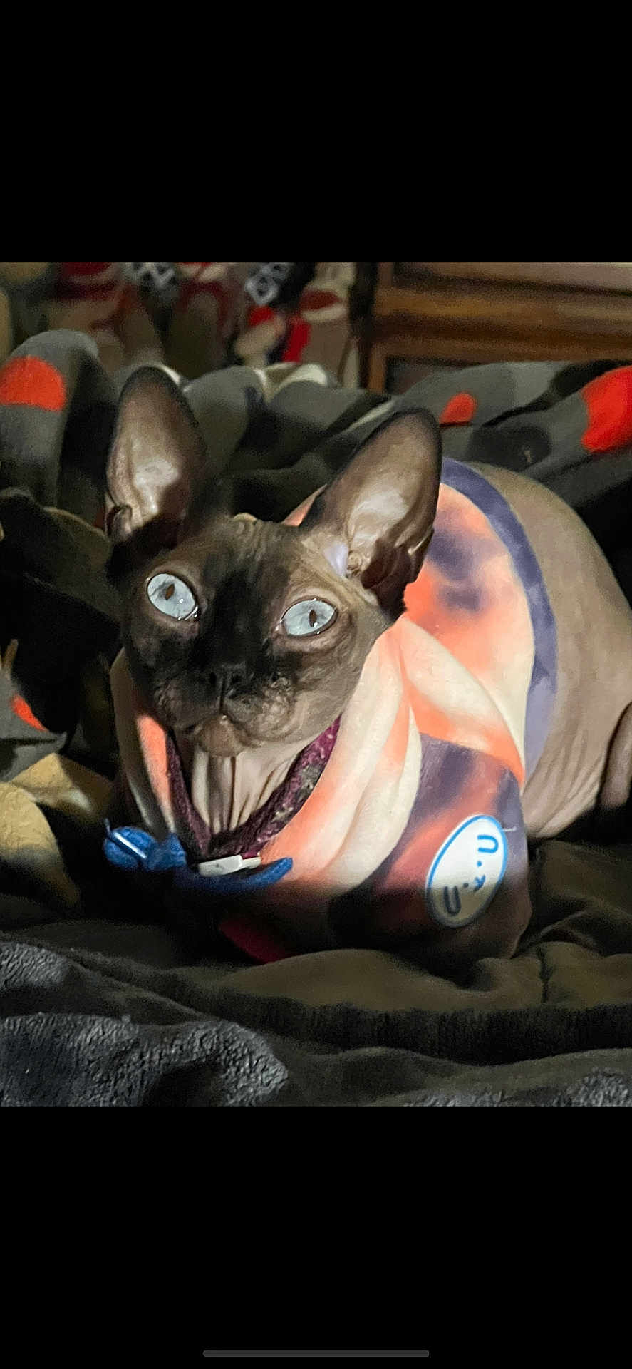 Olga
