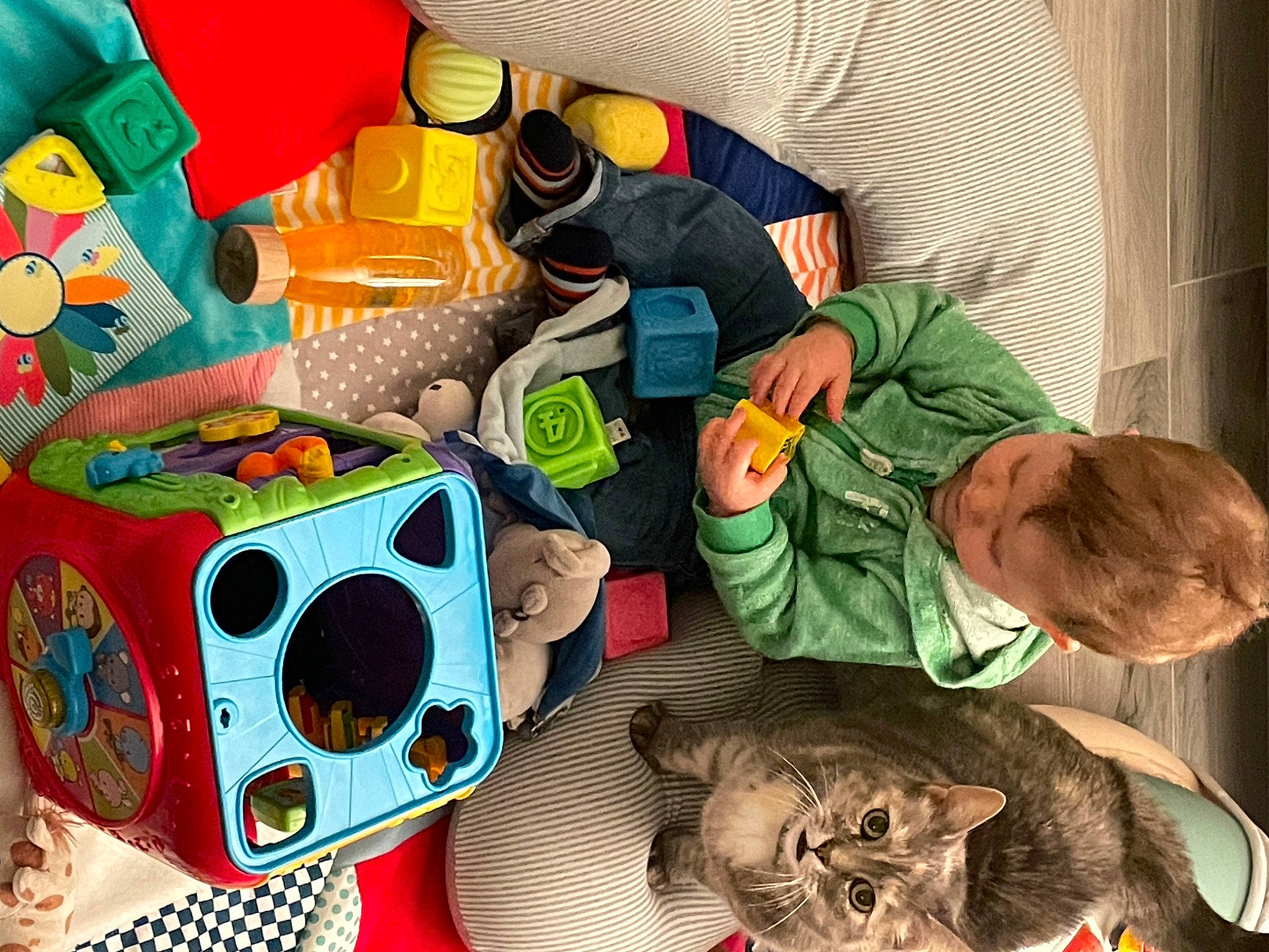 Pupuce a rejoint le concours — aidez-le/la à gagner de superbes lots ! art, audio_equipment, baby, baby_products, big_cats, child, eyewear, fashion_accessory, fictional_character, fun, goggles, hat, mask, personal_protective_equipment, plastic, play, room, stuffed_toy, toddler, visual_arts