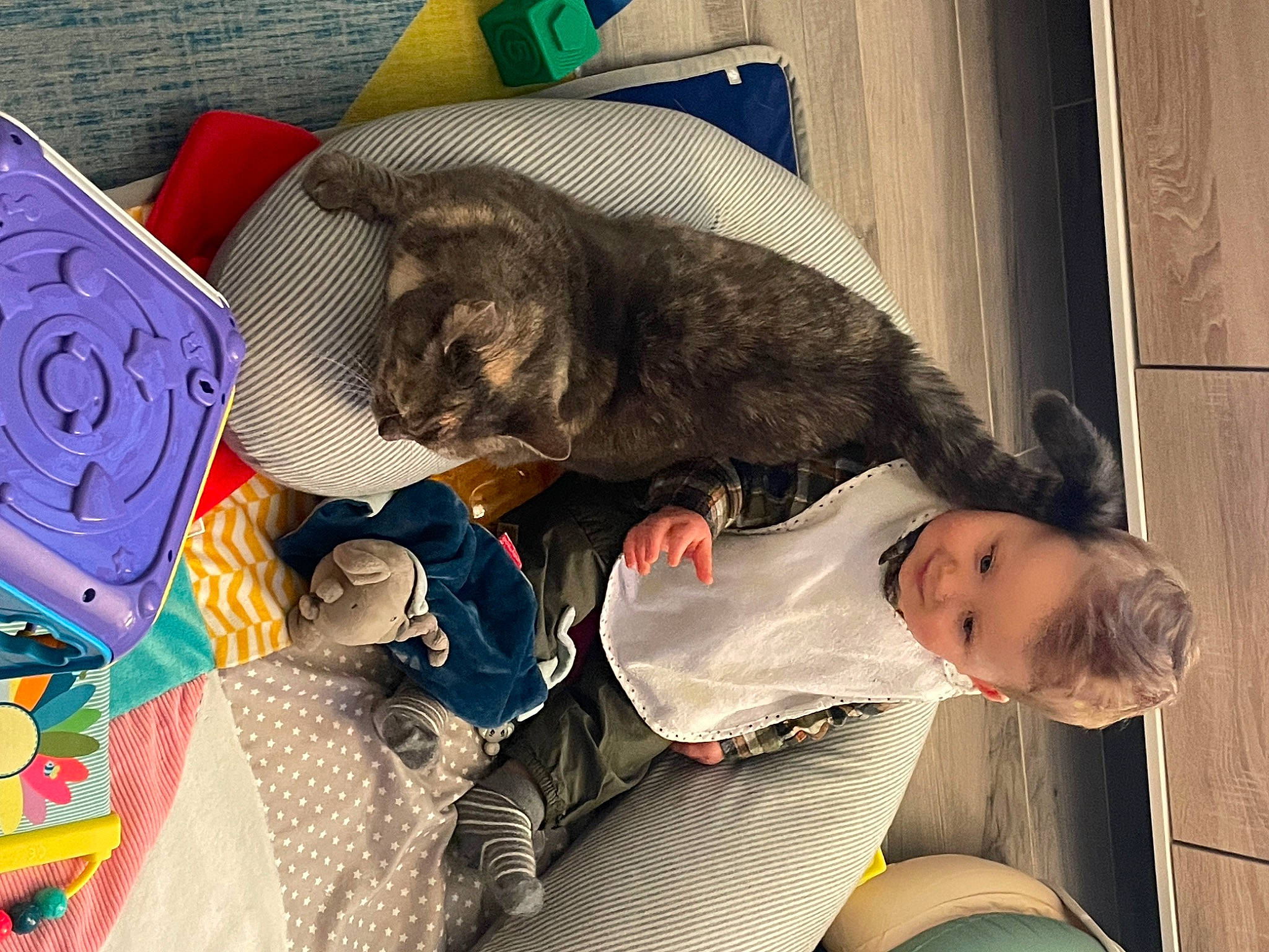 Pupuce participe au concours pour gagner de l'argent avec cette photo : canidae, carnivore, cat, child, comfort, companion_dog, dog_breed, domestic_short_haired_cat, felidae, fun, fur, lap, nap, sitting, sleep, small_to_medium_sized_cats, sporting_group, tail, toddler, whiskers