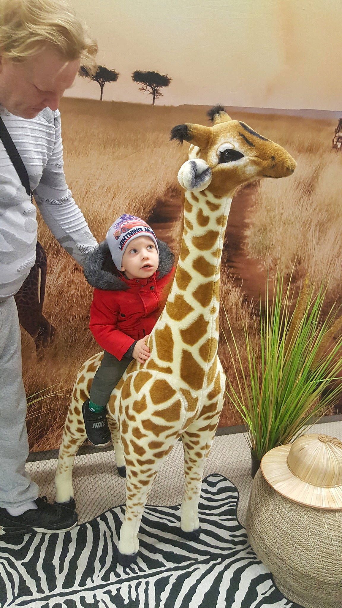 Amadéo a rejoint le concours — aidez-le/la à gagner de superbes lots ! fauna, giraffe, giraffidae, headwear, mammal, neck, person, snout, terrestrial_animal, wildlife, zoo