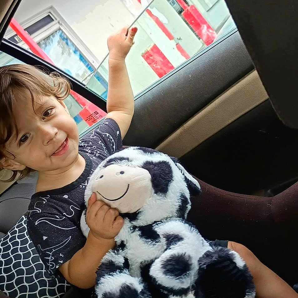 Emerson is registered to the contest to win money with this photo: arm, candid, car_interior, car_seat_pattern, child, cow_stuffed_animal, curly_hair, family_trip, happy, headrest, playful, plush_toy, portrait, rear_seat, seat_cover, smile, toddler, toy, upholstery, window