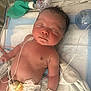 Kashton is registered to the contest to win money with this photo: baby, child, cute, diaper, face, head, healthcare, hospital, id_bracelet, incubator, infant, lying_down, medical_care, medical_equipment, monitoring_wires, newborn, patient, resting, skin, sleeping