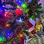 cat, christmas_tree, christmas_lights, ornament, black_and_white_cat, holiday, decorations, festive, presents, gift_wrap, indoor, celebration, holiday_decor, tree_branch, animal, pet, curious, colorful_lights, festivity, christmas
