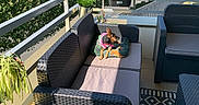Kanelle a rejoint le concours — aidez-le/la à gagner de superbes lots ! balcony, cushion, daytime, dog, fence, greenery, modern_furniture, outdoor, pet, plant, potted_plant, relaxing, residential_building, rug, shadow, sky, small_dog, sunlight, urban, wicker_sofa
