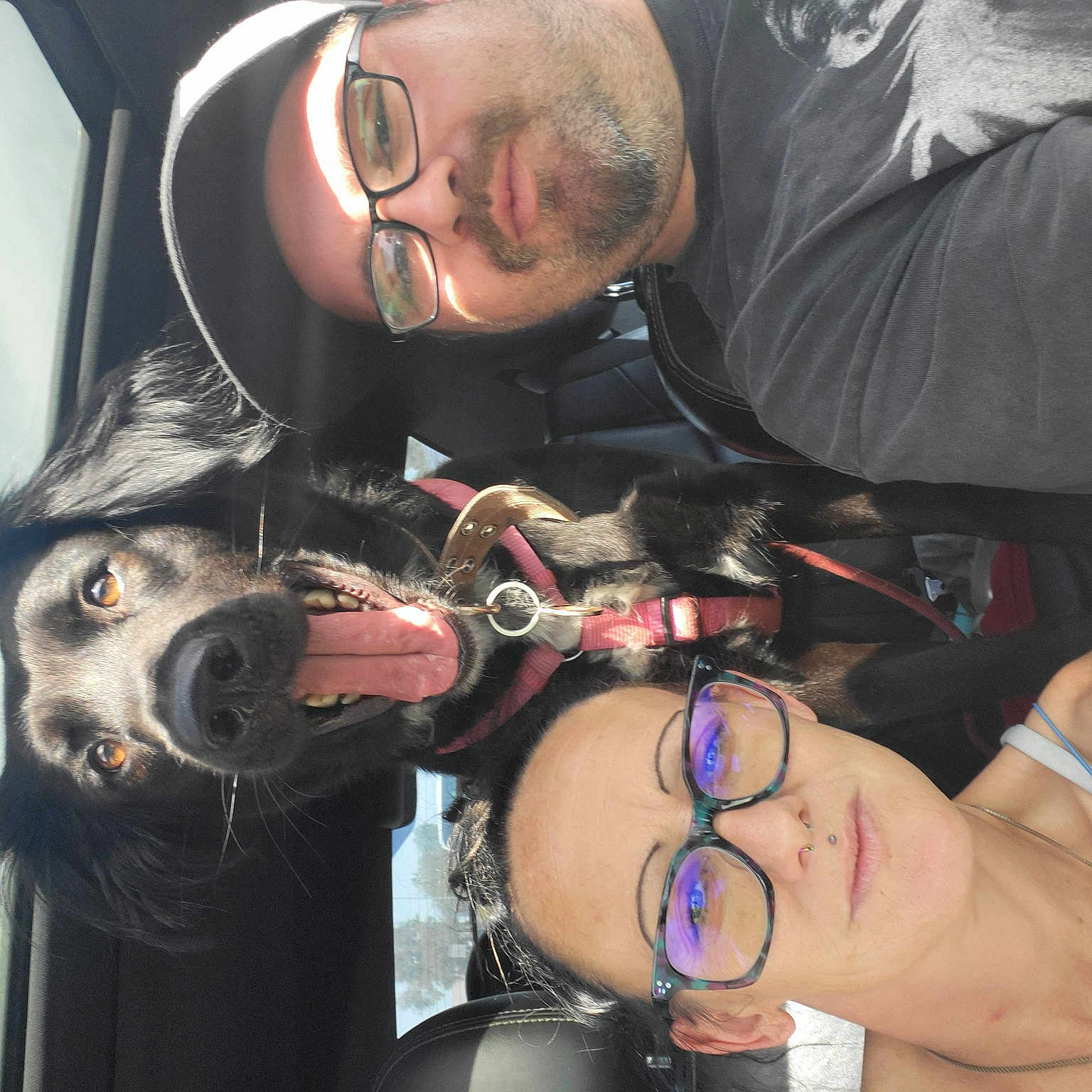 Diva Doo joined the competition — help win amazing prizes! auto_part, barechested, carnivore, chest, companion_dog, cool, dog, dog_breed, eyewear, fun, fur, motor_vehicle, personal_protective_equipment, tattoo, tattoo_artist, temporary_tattoo, trunk, vehicle_door, vision_care, wrist