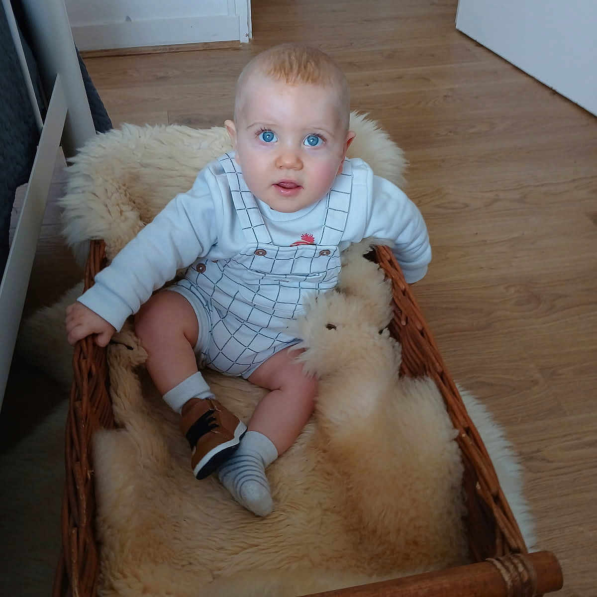 Liam a rejoint le concours — aidez-le/la à gagner de superbes lots ! baby, basket, blue_eyes, child, clothing, curious, cute, flooring, fluffy_blanket, home, indoor, infant, looking_up, person, portrait, seated, shoe, socks, wicker, wooden_floor