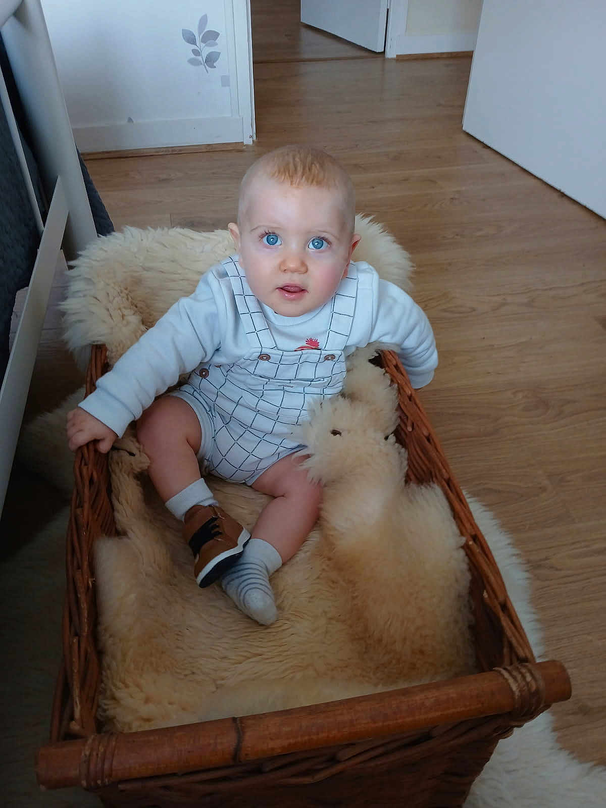 Liam a rejoint le concours — aidez-le/la à gagner de superbes lots ! baby, child, blue_eyes, basket, wicker, fluffy_blanket, indoor, flooring, wooden_floor, cute, clothing, socks, shoe, person, home, curious, seated, infant, portrait, looking_up