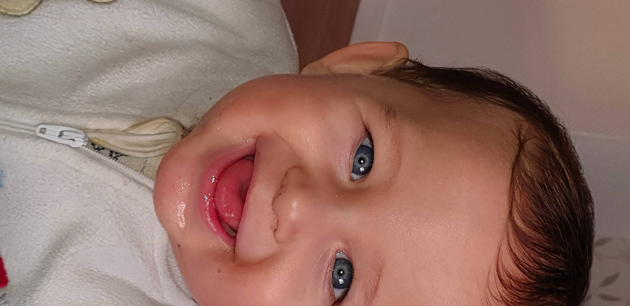 Youssef participe au concours pour gagner de l'argent avec cette photo : cheek, chin, ear, eye, eyebrow, eyelash, face, flash_photography, forehead, happy, head, iris, jaw, joy, lip, mouth, neck, nose, person, plant