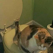 Cindy Lou is registered to the contest to win money with this photo: