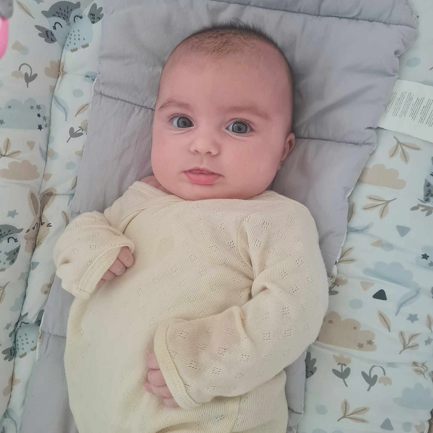 Garance participe au concours pour gagner de l'argent avec cette photo : baby, blanket, child, cloud, cozy, curious, cute, face, head, indoors, infant, looking_at_camera, lying_down, onesie, owl, pattern, portrait, small_hands, soft, young