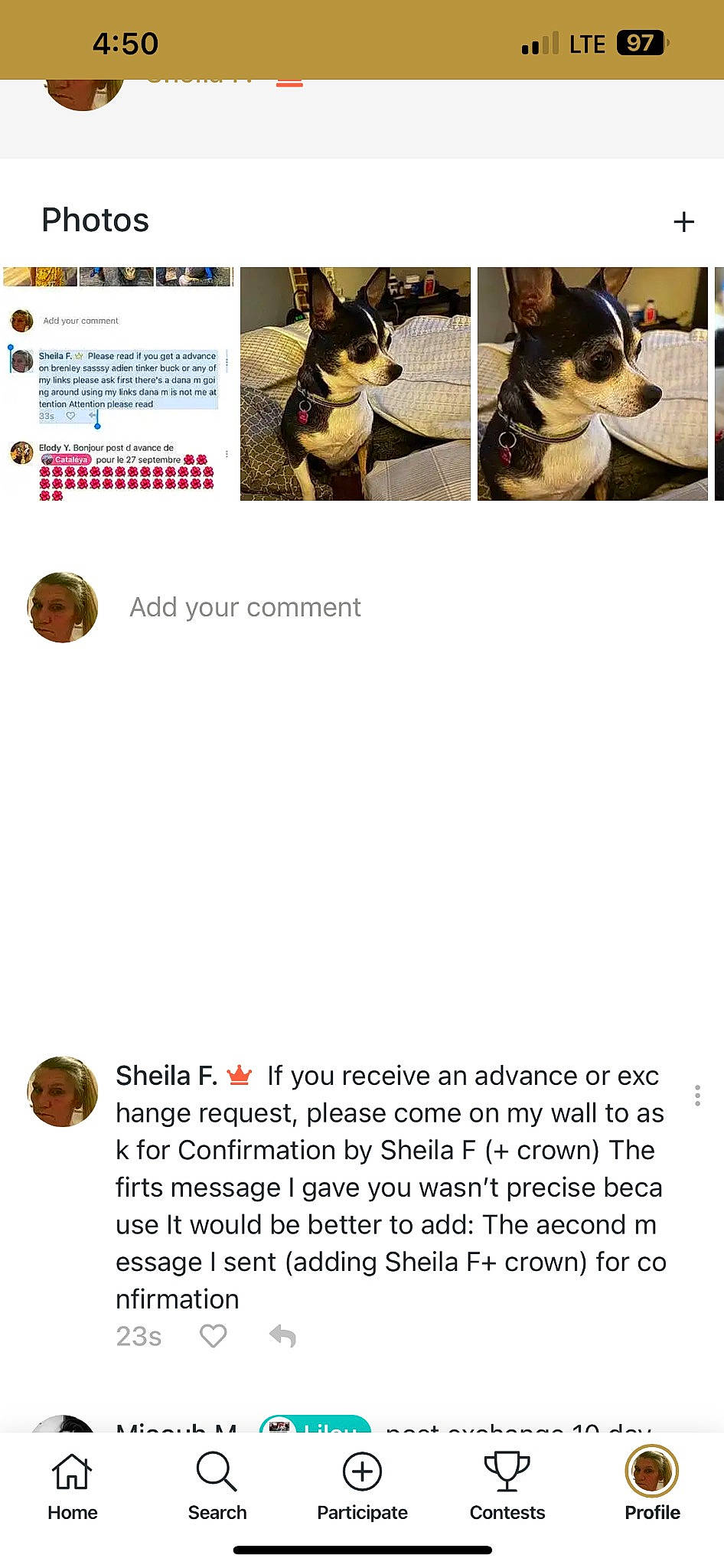 Sassy joined the competition — help win amazing prizes! carnivore, circle, companion_dog, dog, dog_breed, felidae, font, fur, line, screenshot, small_to_medium_sized_cats