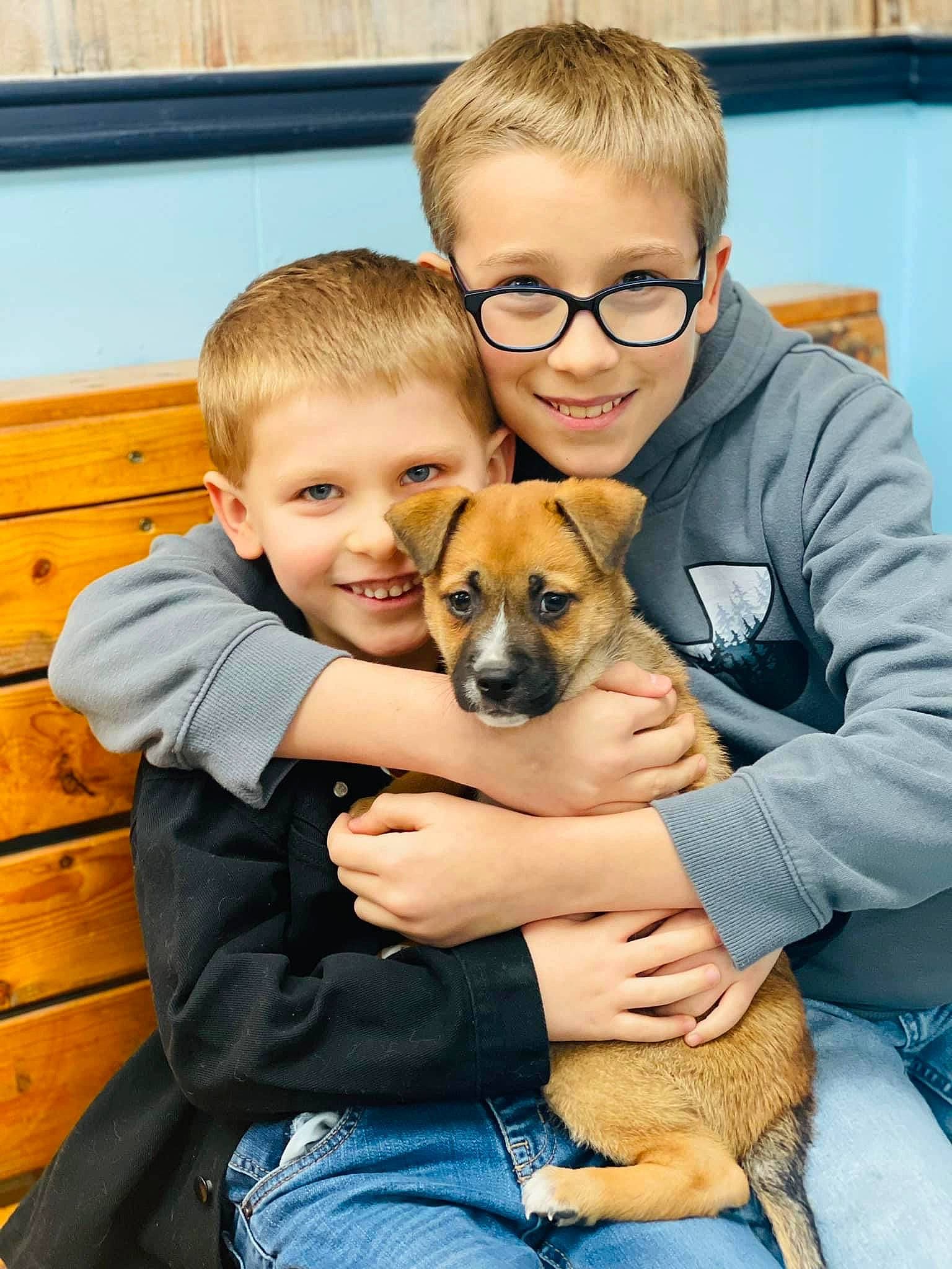 Aiden joined the competition — help win amazing prizes! canidae, carnivore, child, comfort, companion_dog, dog, dog_breed, eyewear, fawn, fur, glasses, happy, joy, lap, paw, person, sharing, sitting, smile, sporting_group