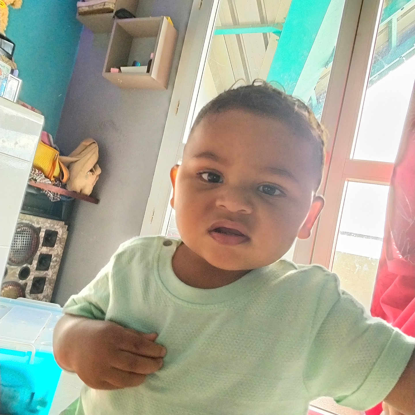 Maëlan participe au concours pour gagner de l'argent avec cette photo : casual_clothing, child, curious, expression, face, floor, furniture, hand, home, indoor, natural_light, person, room, shelf, shirt, toddler, toy, wall, window, young_child