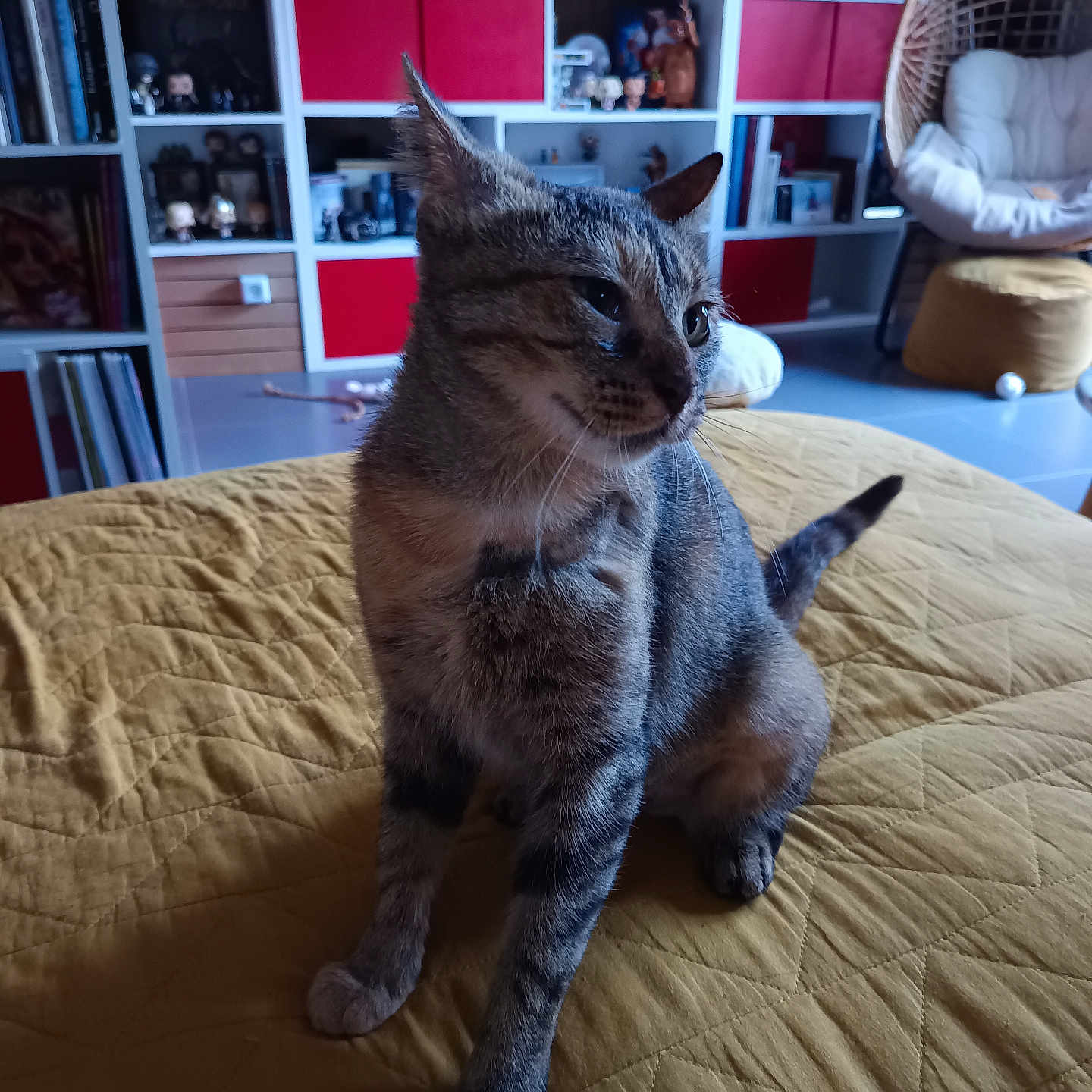 Penny