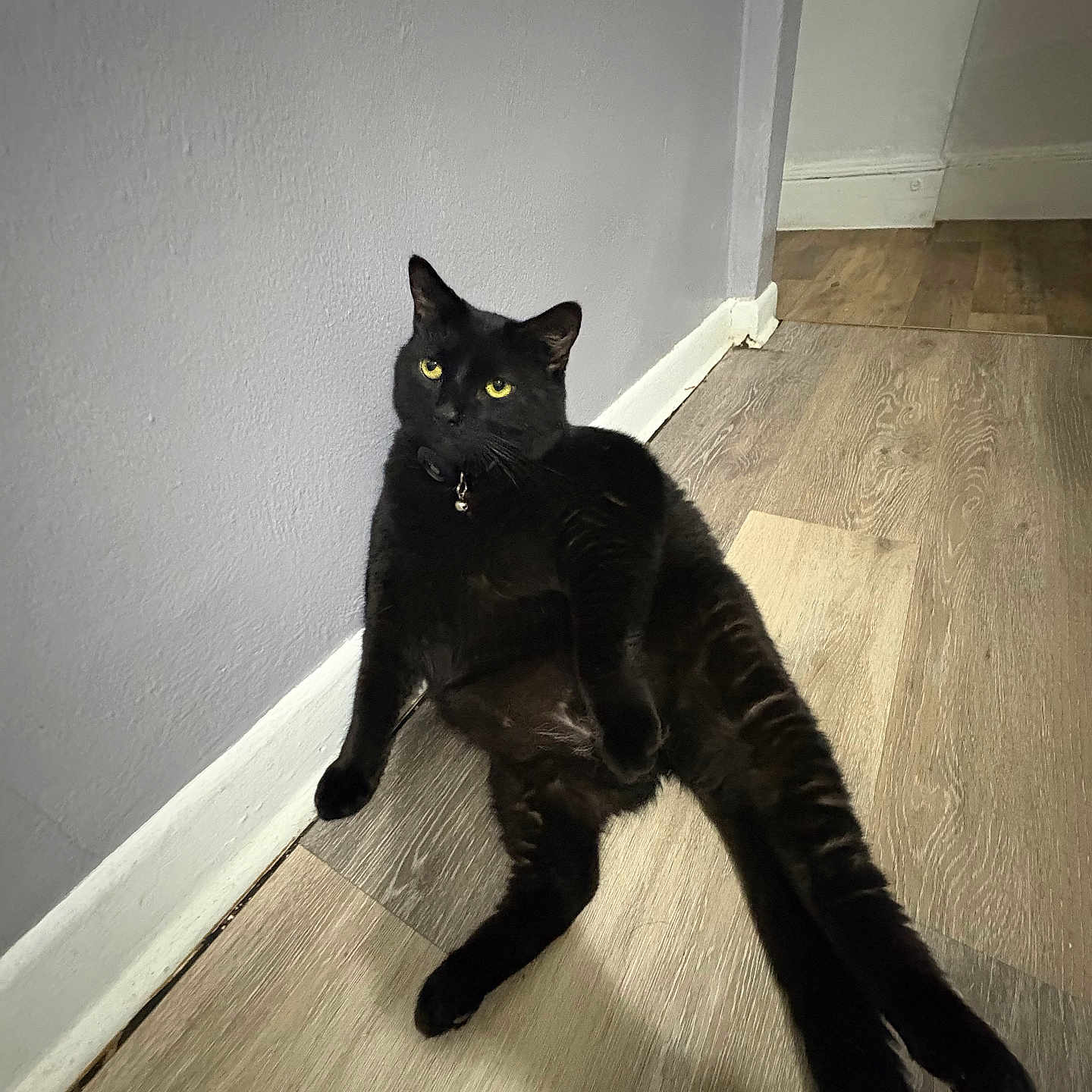 Onyx