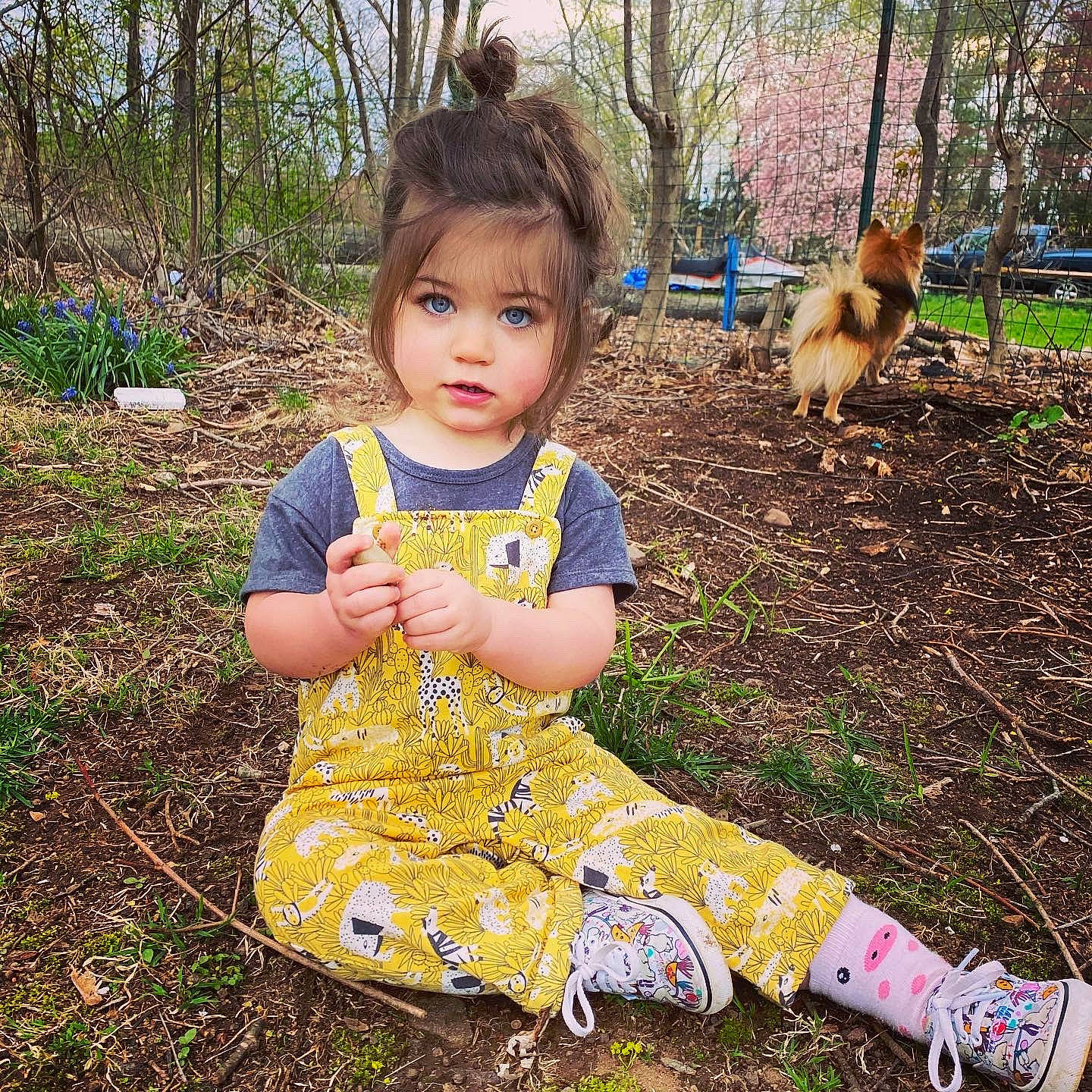 Lilliana joined the competition — help win amazing prizes! adaptation, baby, baby_toddler_clothing, child, day_dress, dress, grass, grass_family, grassland, happy, nature, pattern, people_in_nature, person, plant, sitting, sleeve, soil, toddler, tree