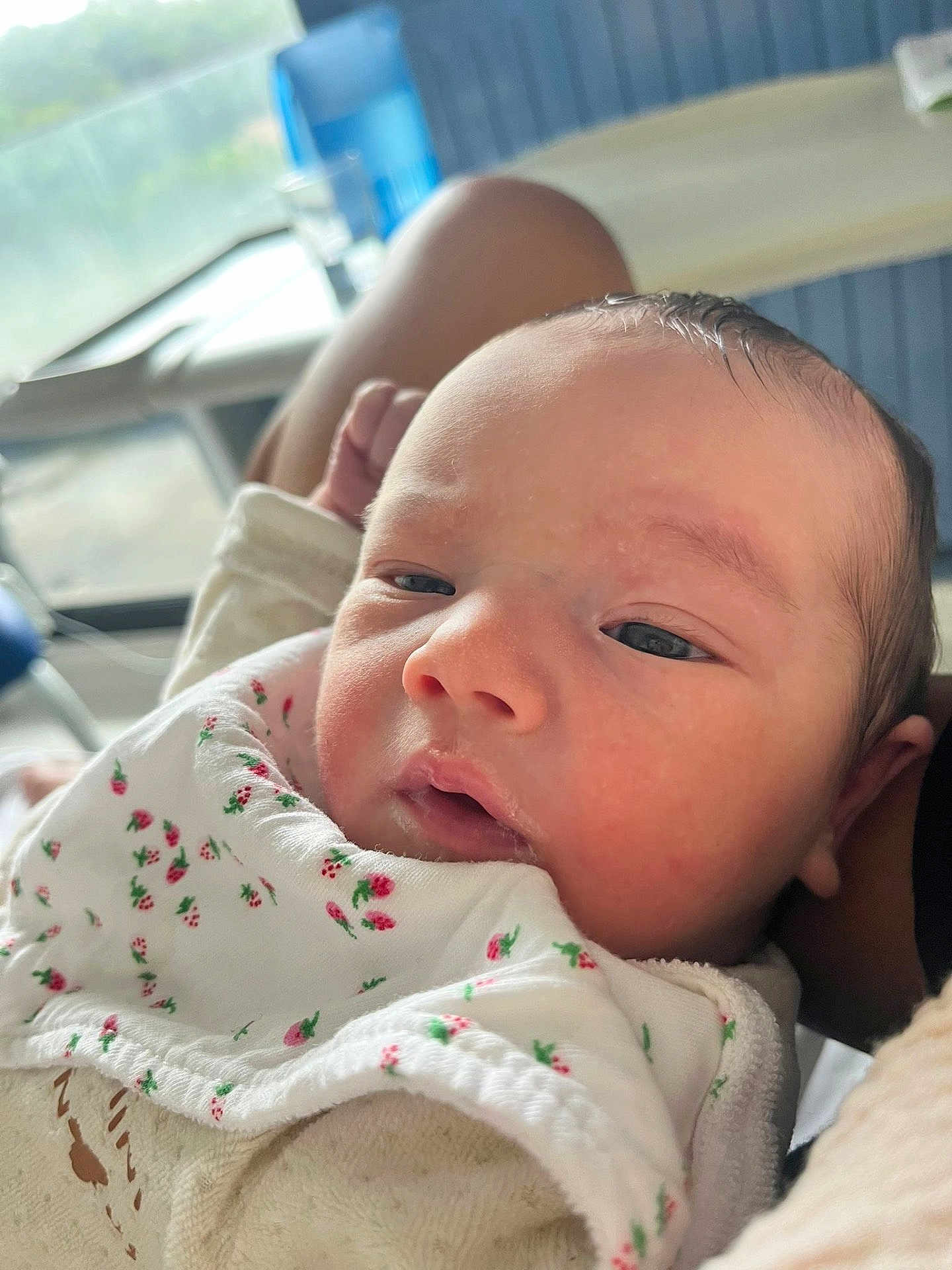 Sofia a rejoint le concours — aidez-le/la à gagner de superbes lots ! baby, baby_face, blanket, closeup, clothing, cute, expression, face, head, indoors, infant, newborn, newborn_baby, person, portrait, resting, skin, sleepy, soft_light, young_child