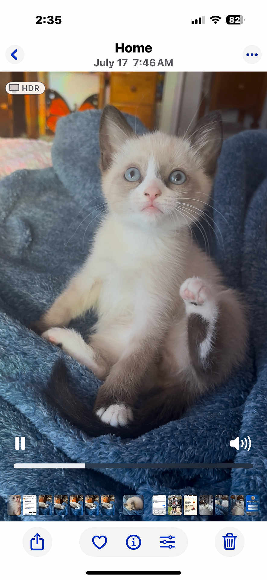 Ollie