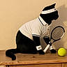 cat, black_cat, tennis_racket, tennis_ball, white_polo_shirt, headband, wristbands, wooden_surface, indoor, pet, sport, animal, costume, playful, feline, side_view, accessories, table, shadow, posing