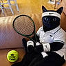 Togo a rejoint le concours — aidez-le/la à gagner de superbes lots ! cat, black_cat, tennis_racket, tennis_ball, white_polo_shirt, wristbands, headband, couch, indoor, pet, sportswear, animal, wide_eyes, black_fur, leisure, funny, posing, home, feline, accessories