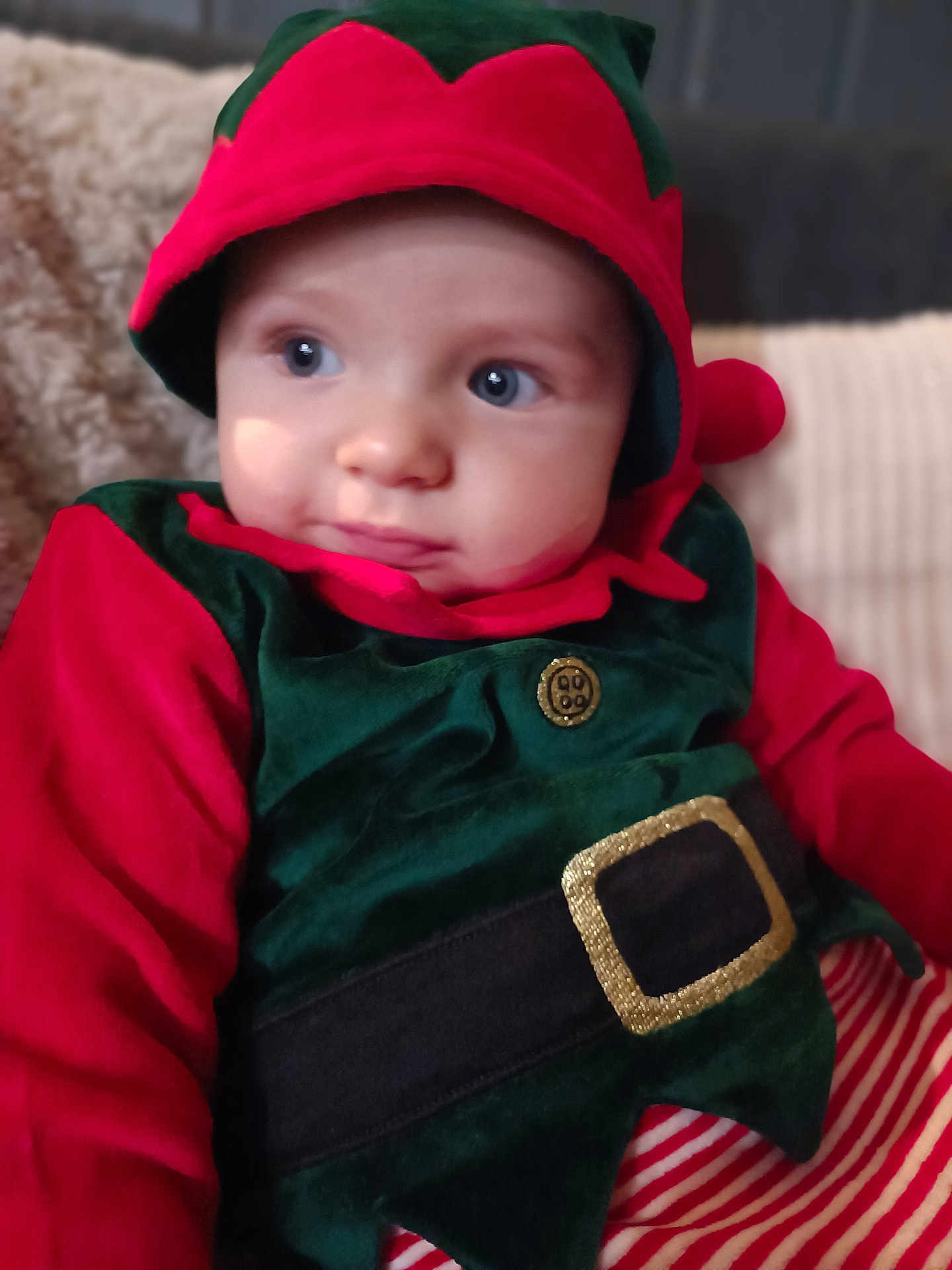 Léon a rejoint le concours — aidez-le/la à gagner de superbes lots ! baby, child, costume, elf, hat, red, green, striped_pants, button, belt, face, blue_eyes, soft_texture, blanket, portrait, cute, holiday, indoor, clothing, young